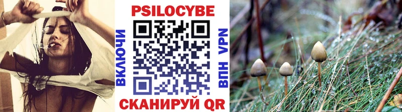Псилоцибиновые грибы мицелий  Дубна 